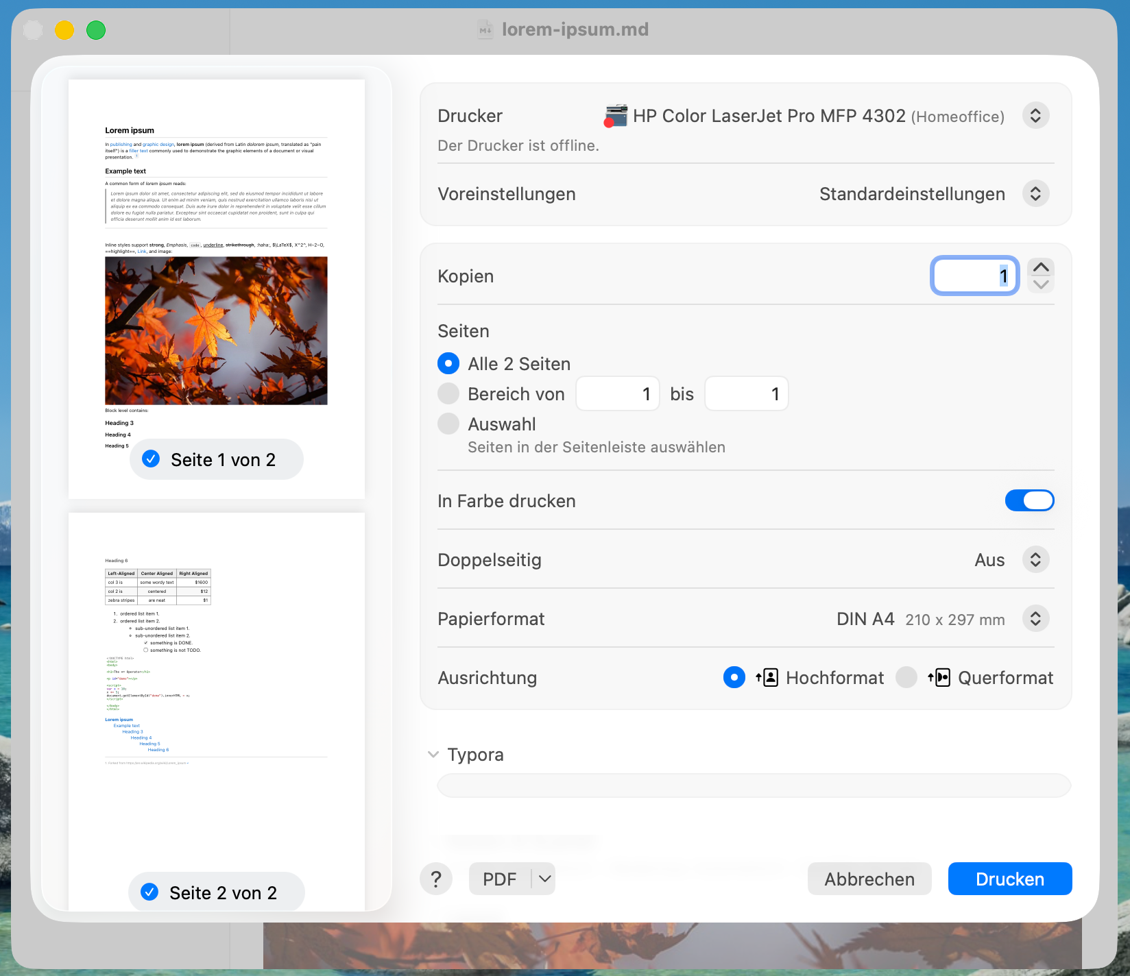 Print preview with DIN A4